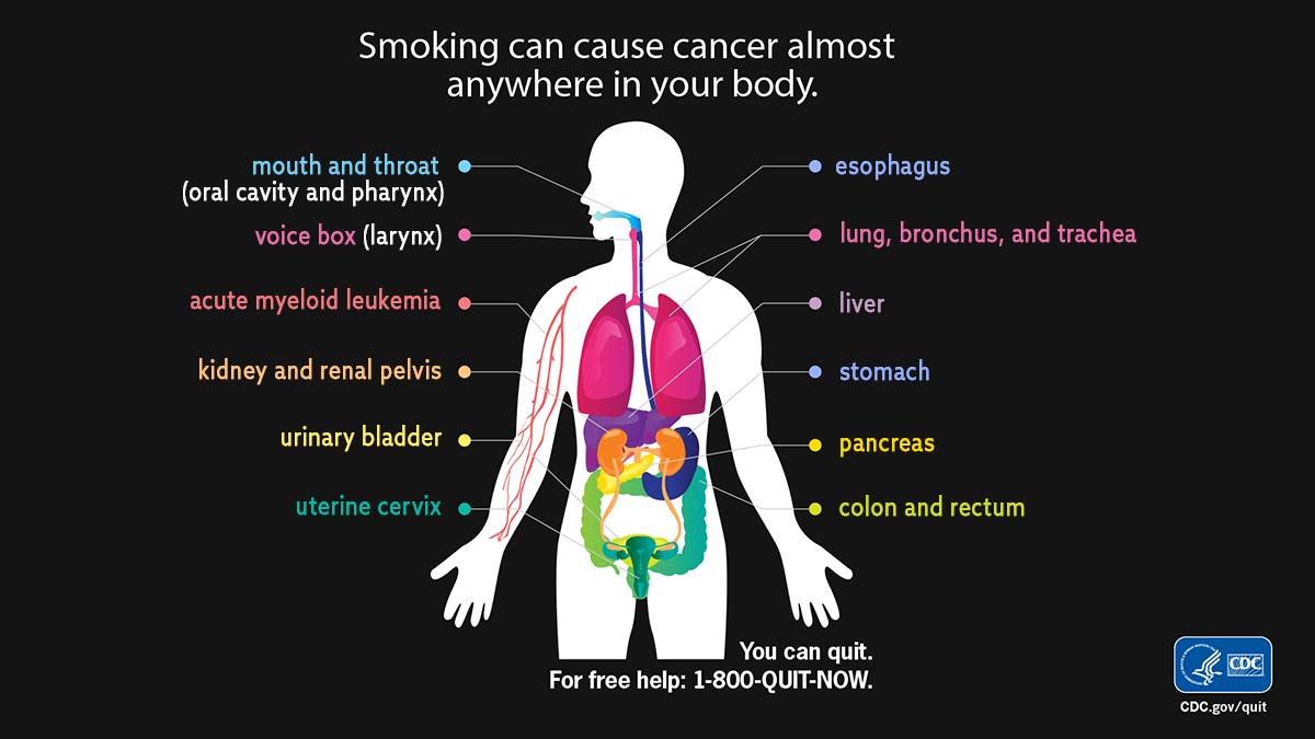 How Does Smoking Affect Cardiovascular Health Over Time